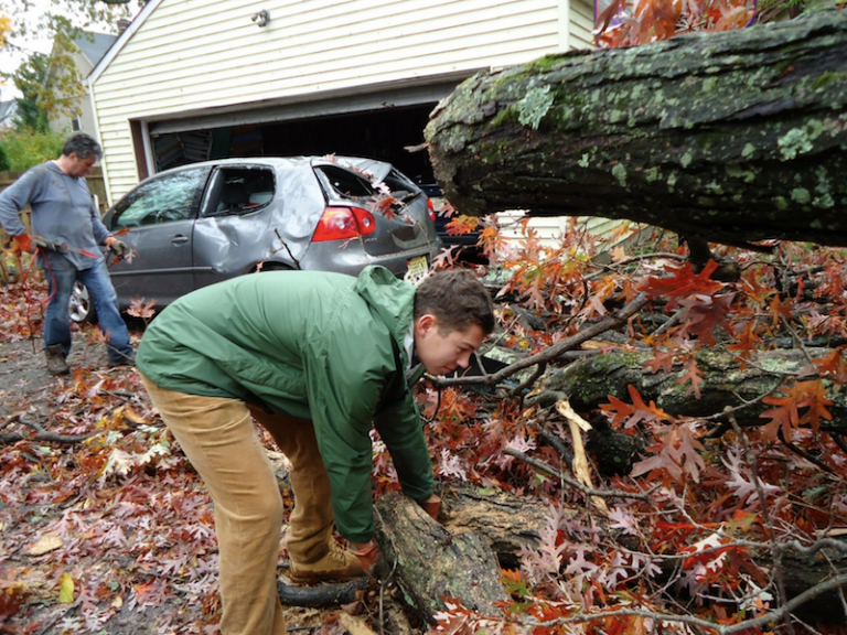 Emergency Tree Care Services