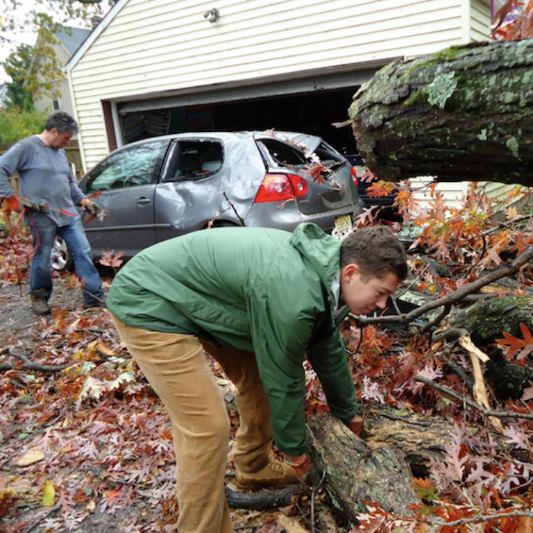 24 Hour Emergency Tree Services