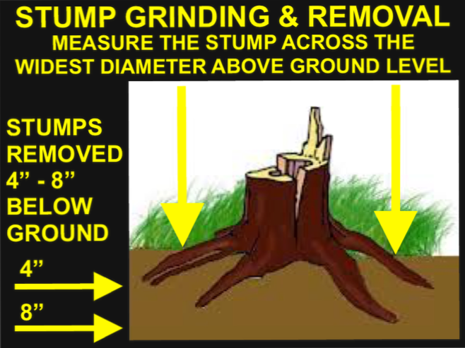 Stump Grinding and Removal