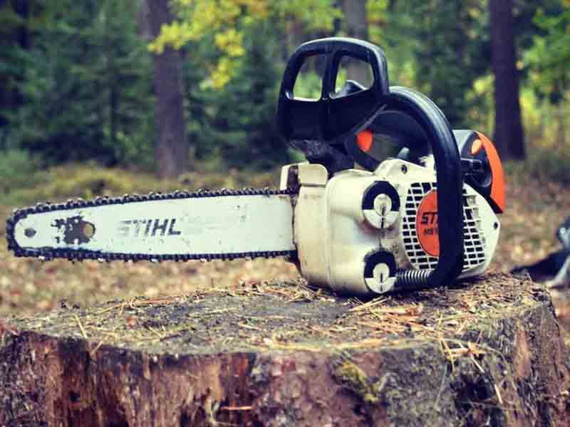 Elite Tree Service gallery 6