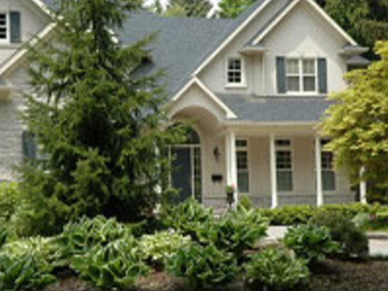 Ornamental Tree Pruning Portland OR | Elite Tree Service